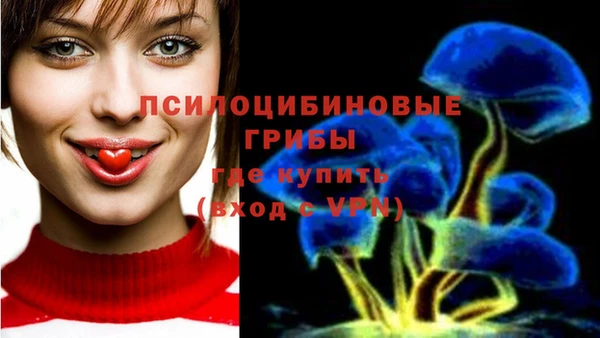тгк Нея