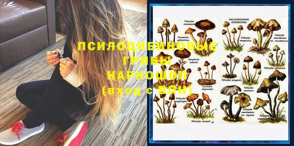 a pvp Новокубанск