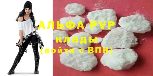 альфа пвп Новодвинск