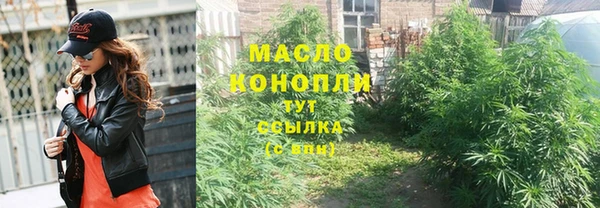 тгк Нея