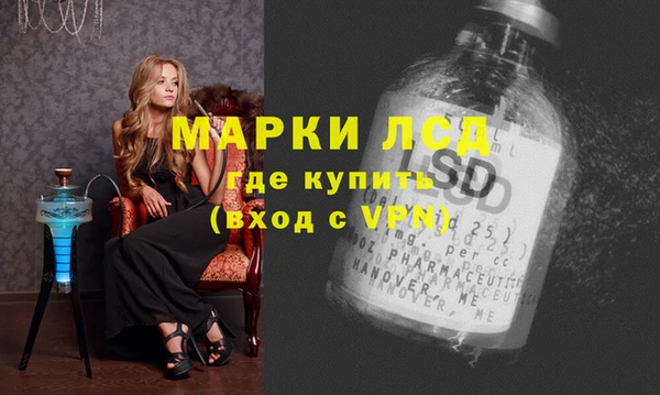 альфа пвп Новодвинск