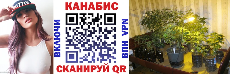 Каннабис сатива  Медынь 